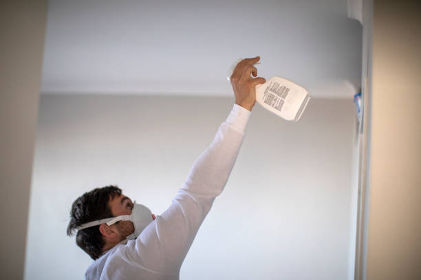 Professional Mold Removal in Storrs, CT