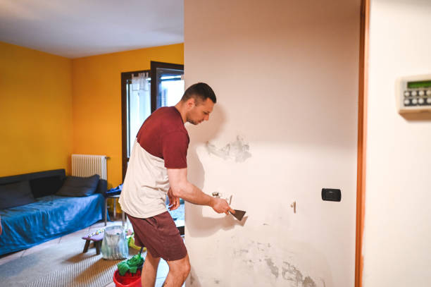 Best Mold Testing  in Storrs, CT